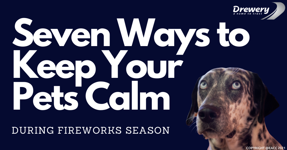 Seven Ways to Keep Your Pets Calm in Sidcup During