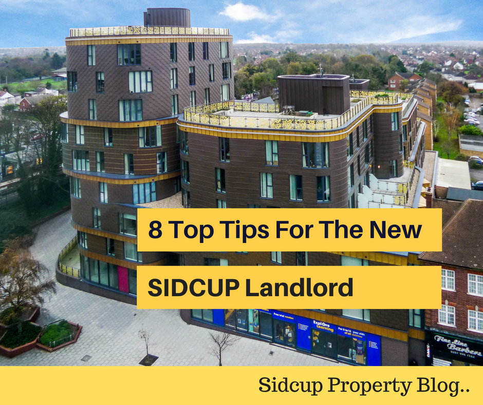 8 Top Tips For The New Sid...