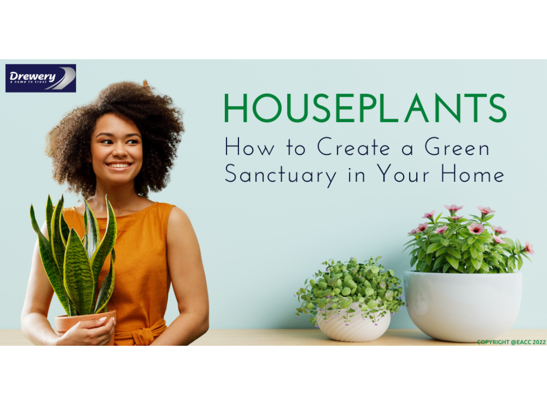 Houseplants: How to Create a Green Sanctuary in Yo