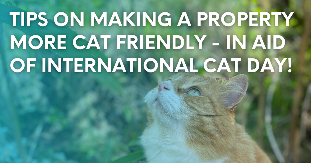 Tips on making a property more cat friendly - in a