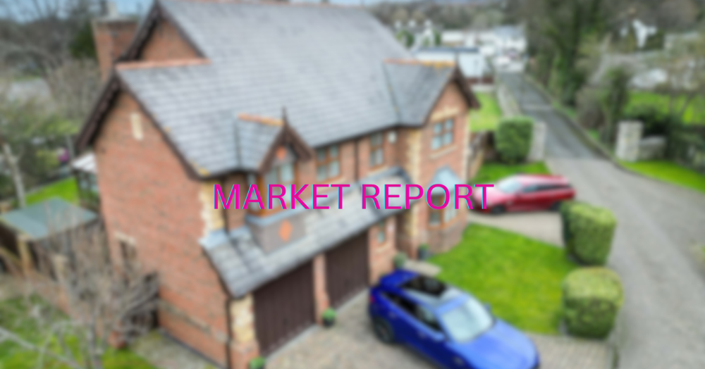 Market Report July 2023