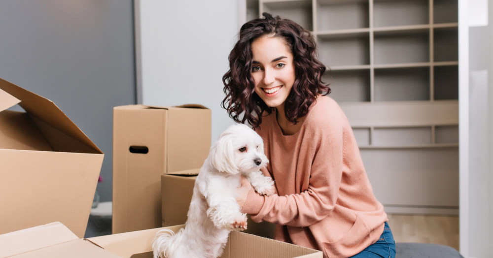 Top tips for renting with a pet