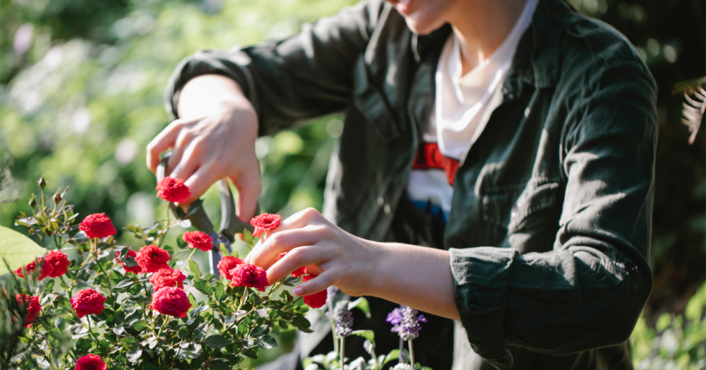 How Landlords Can Nip Garden Disputes in the Bud