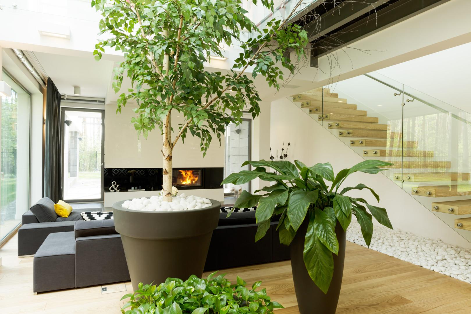 Hackney Home Selling: Nature-Inspired Decor