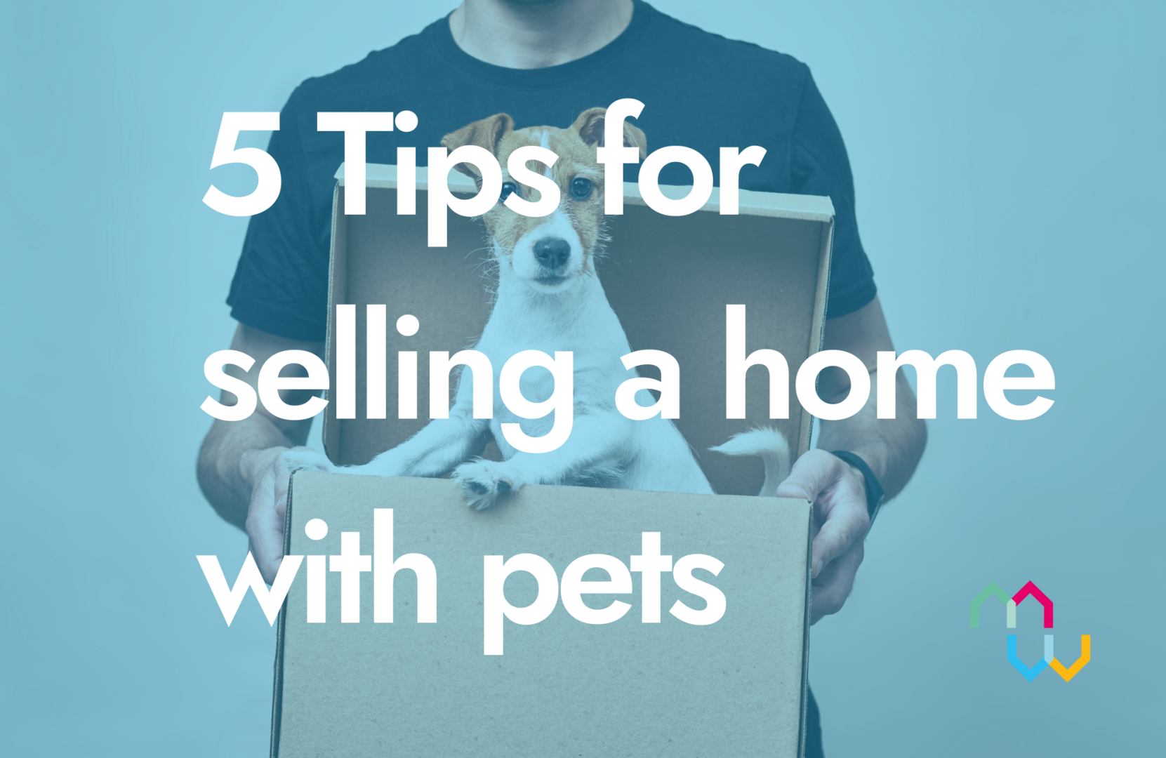 Got pets 5 tips for selling your home