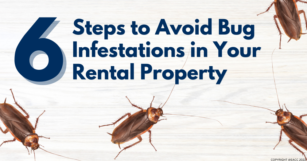 Six Steps to Avoid Bug Infestations in Your Rental