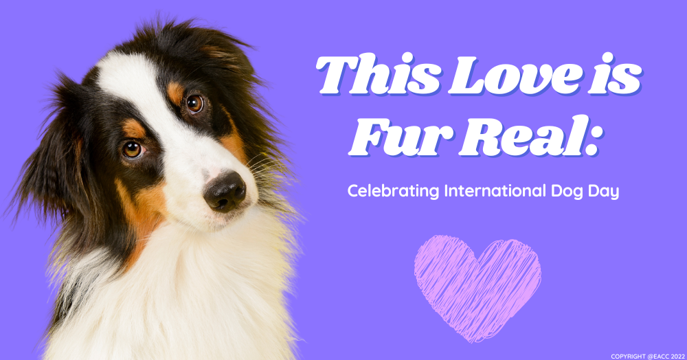 This Love is Fur Real: Celebrating International D