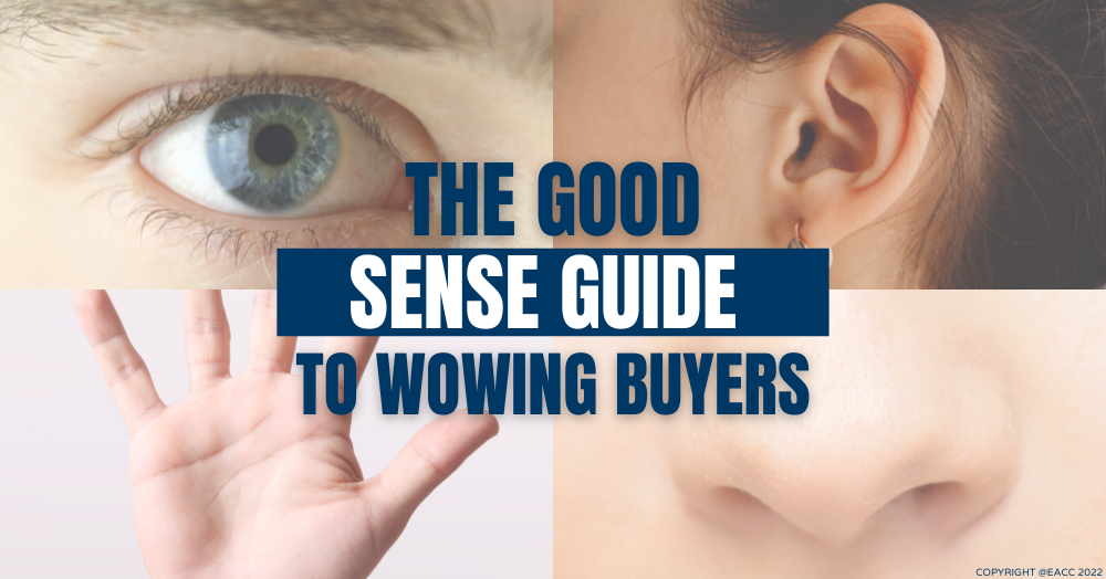 The Good Sense Guide to Selling Your Home
