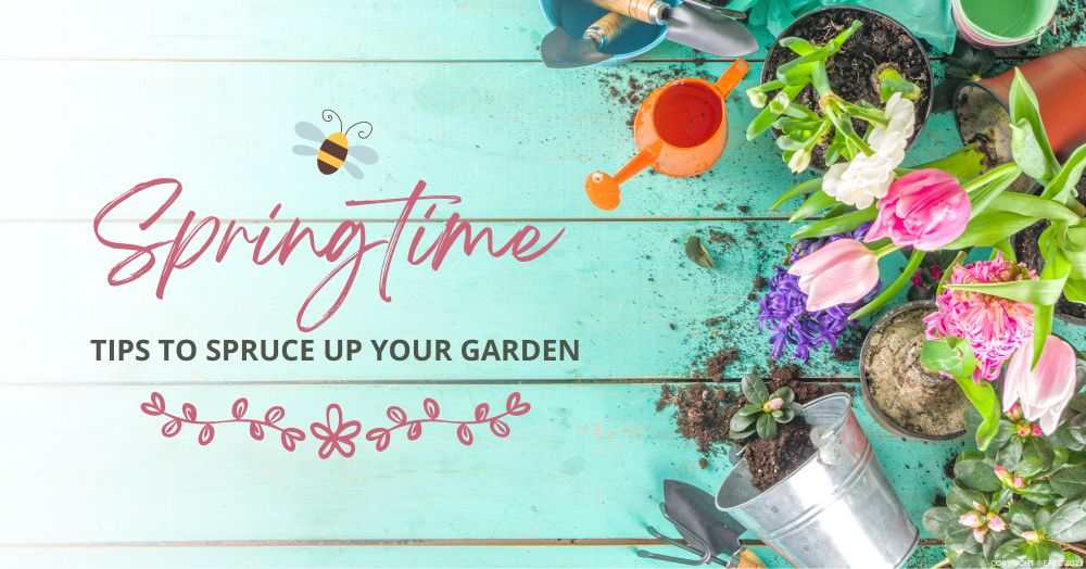 Springtime Tips to Spruce Up Your Garden in Scotla