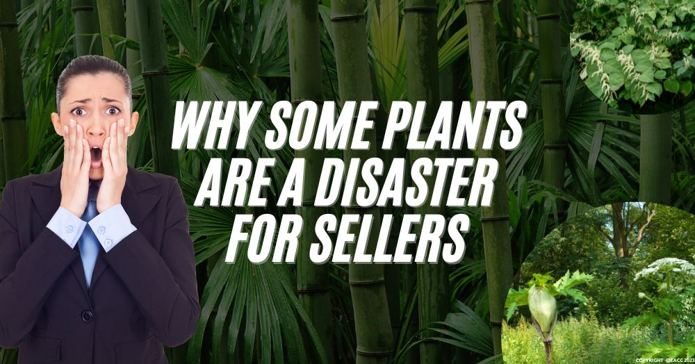 Why Some Plants Are a Disaster for Sellers