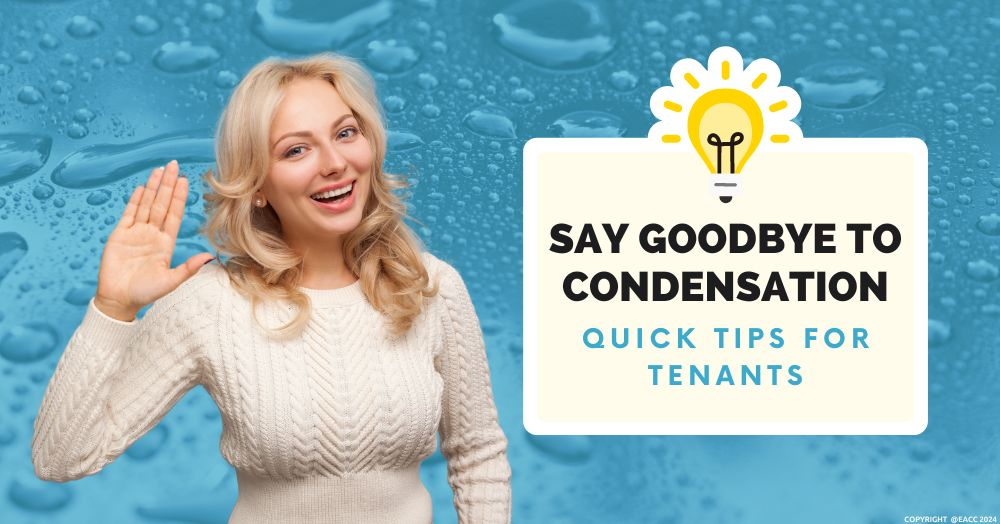 A Tenant’s Guide – How to Combat Condensation