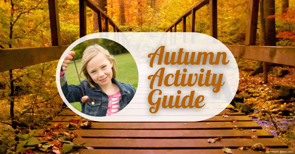 Make the Most of Autumn with Our Fun Activity Guid
