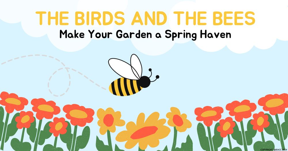 The Birds and the Bees: Make Your Garden a Spring 