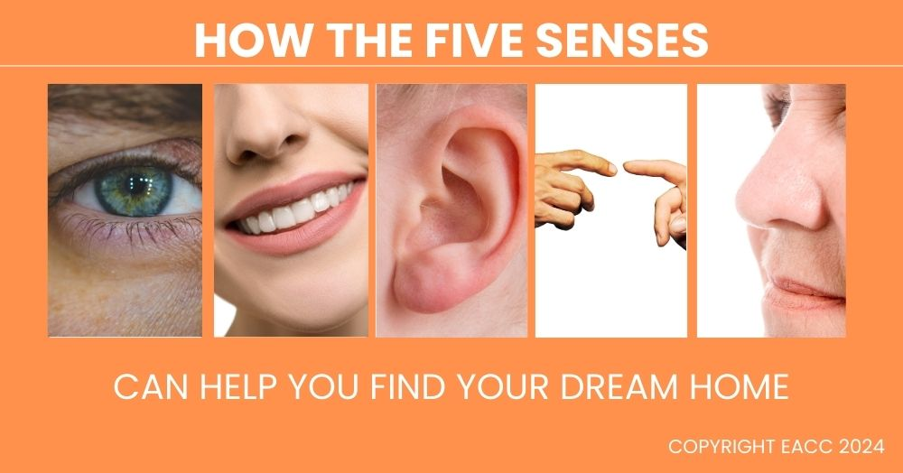 How the Five Senses Can Help You Find Your Dream H