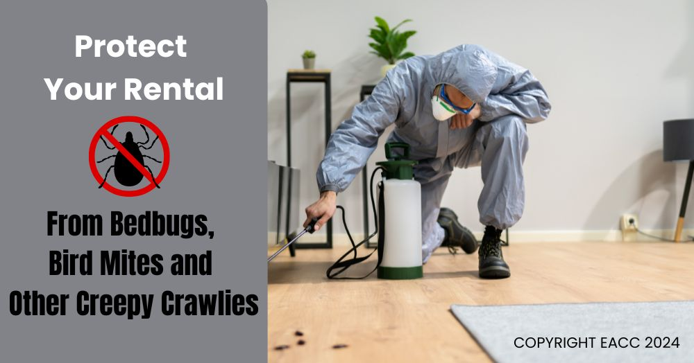 Protect Your Rental from Bedbugs, Bird Mites and O