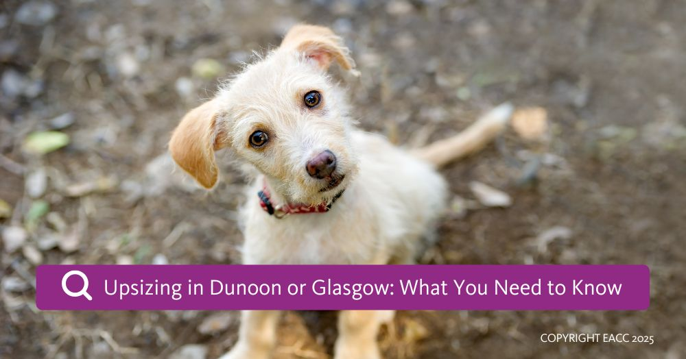 Upsizing in Dunoon or Glasgow: What You Need to Kn