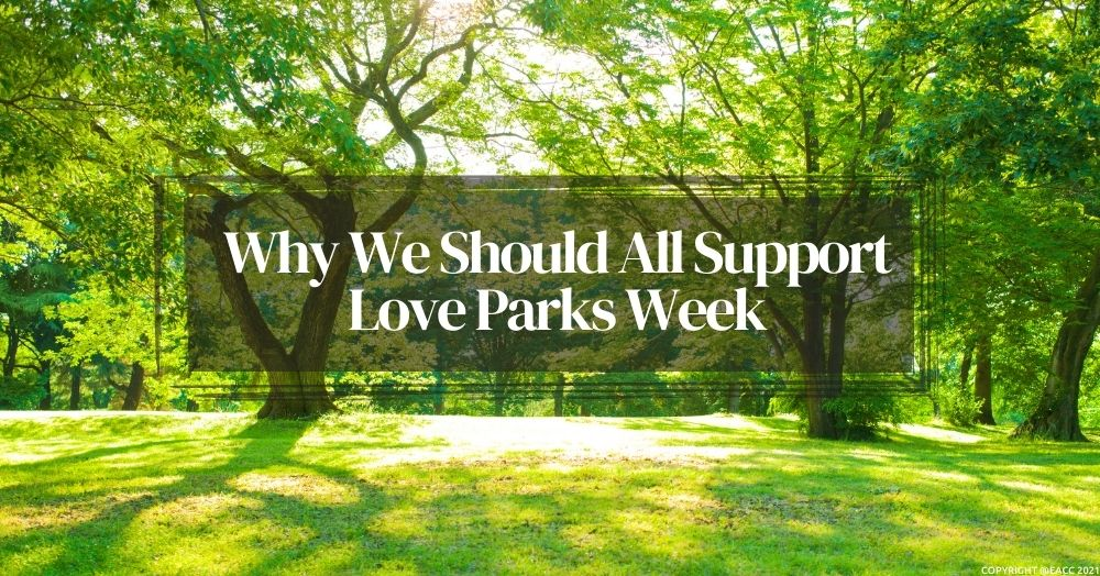 Five Ways Glasgow Residents Can Support Love Parks