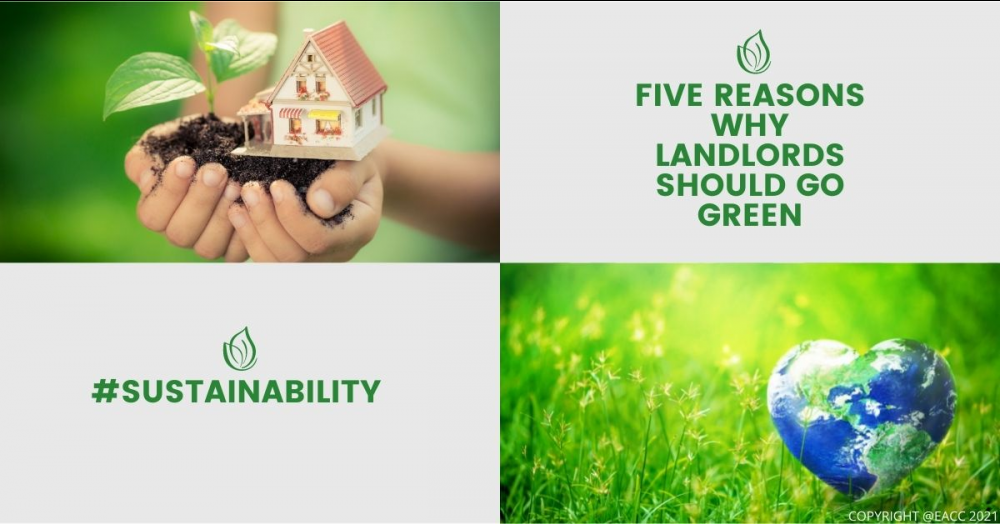 Five Reasons Why Going Green is Good for Scottish 