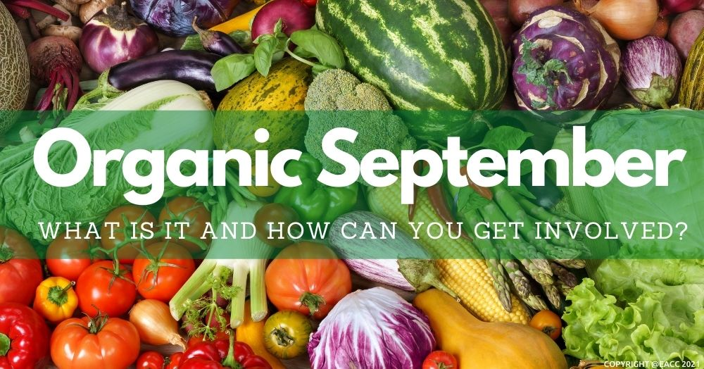 Organic September: What Is It and How Can You Get 