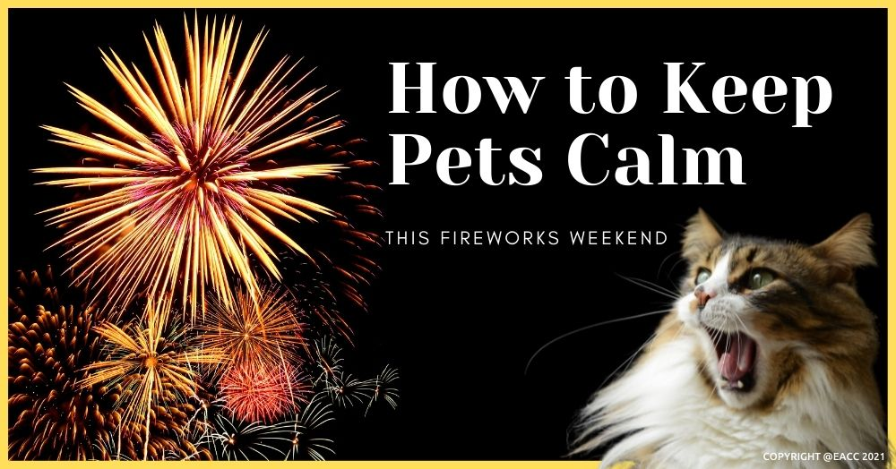 Seven Ways to Keep Your Pets Calm During Fireworks