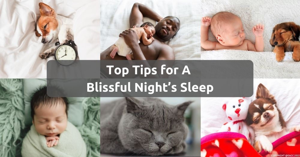 World Sleep Day: How to Get a Good Night’s Slumber