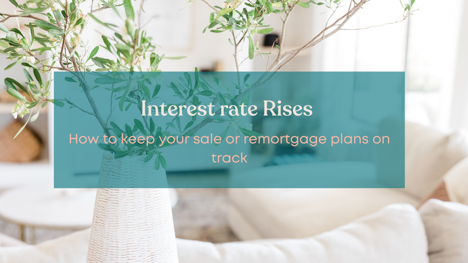 Interest Rate Rises, keeping your plans on track