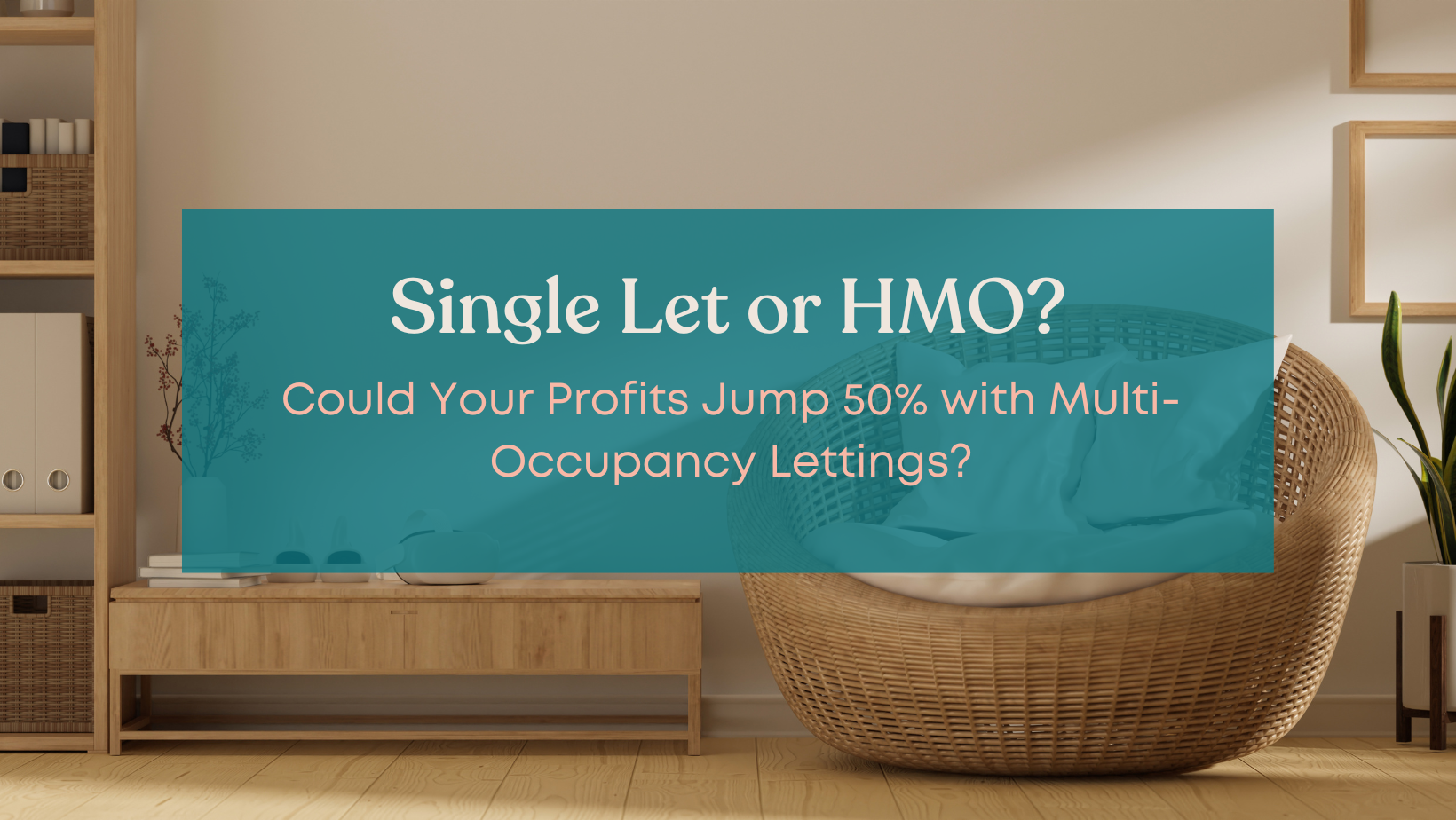 How to choose between a single let or HMO