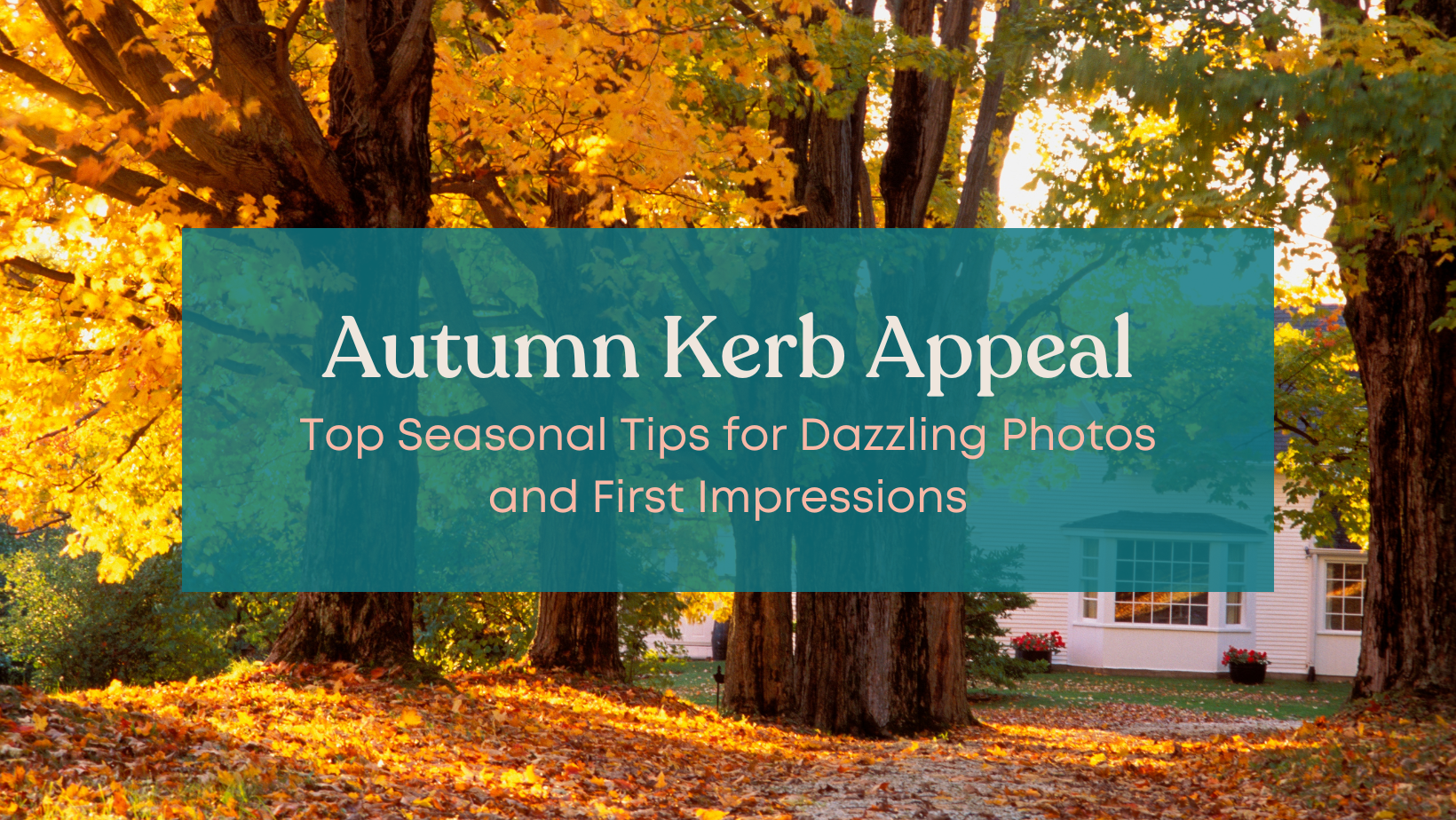 Top Seasonal Tips for Dazzling Photos