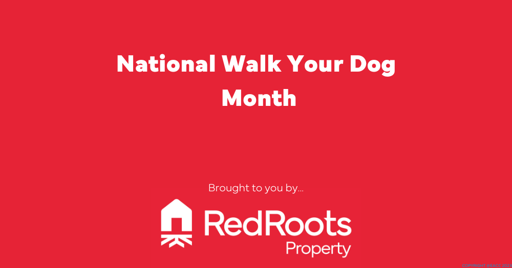 National Walk Your Dog Month