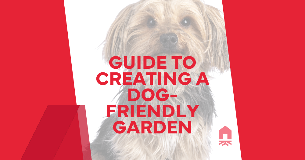 Guide to Creating a Dog-Friendly Garden