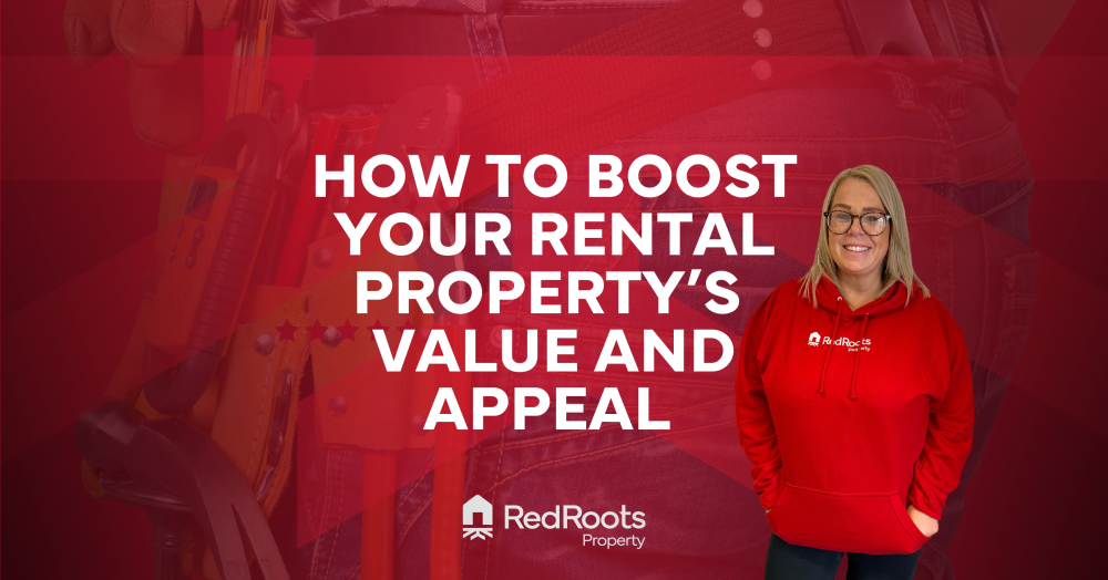 How to Boost Your Rental Property’s Value and Appe