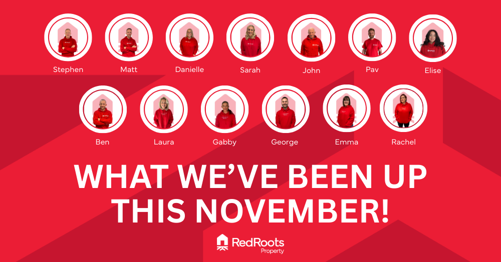 What we’ve been up to this November! 🍁