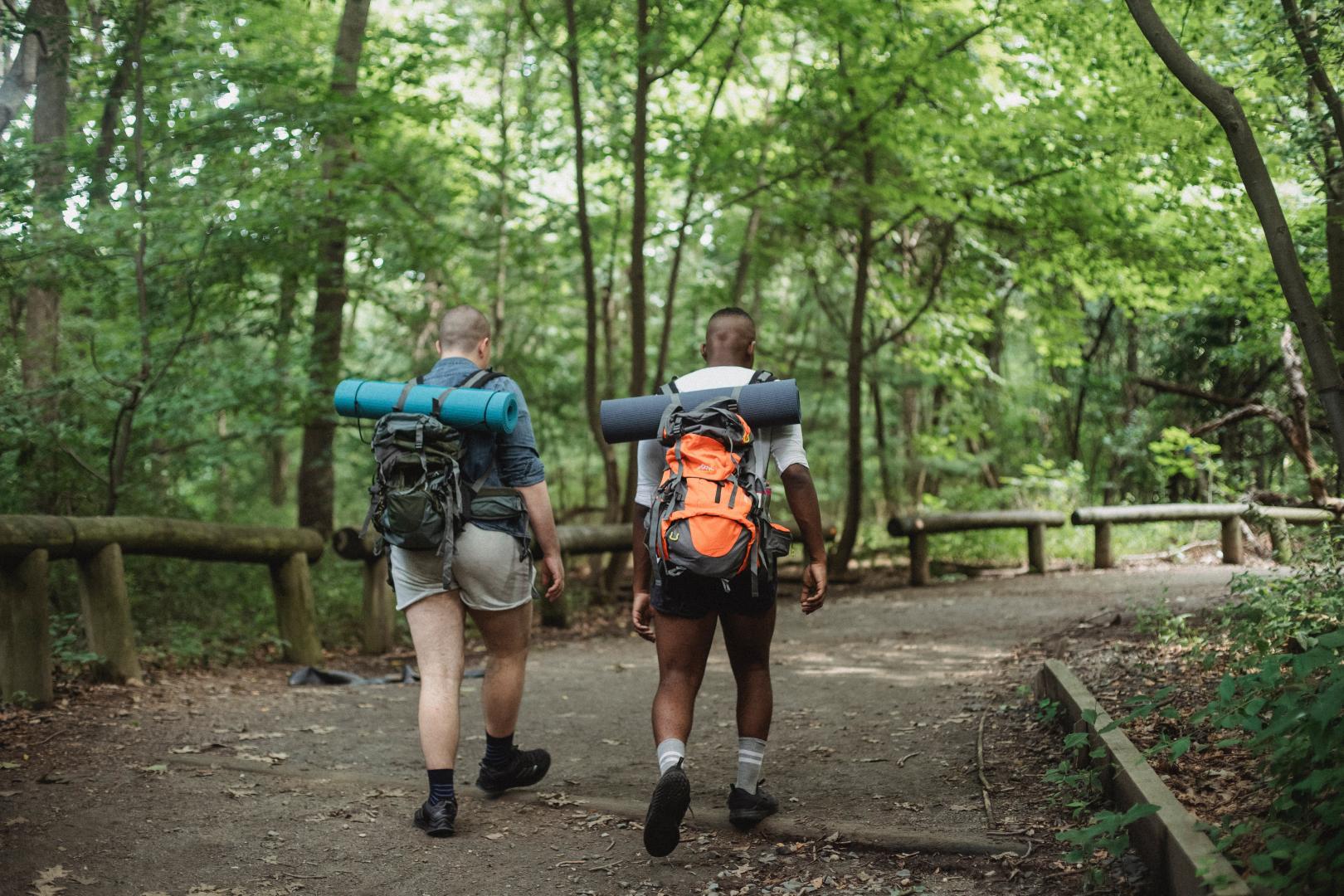 Two men hiking in a sunny wood