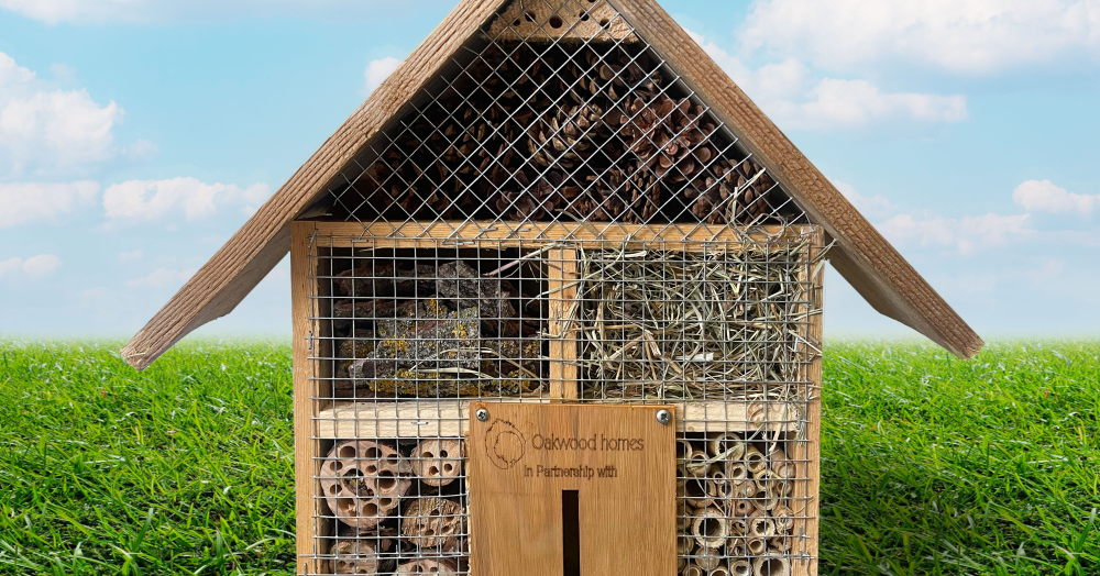 Local Agent donates 50 Bug Homes to primary school
