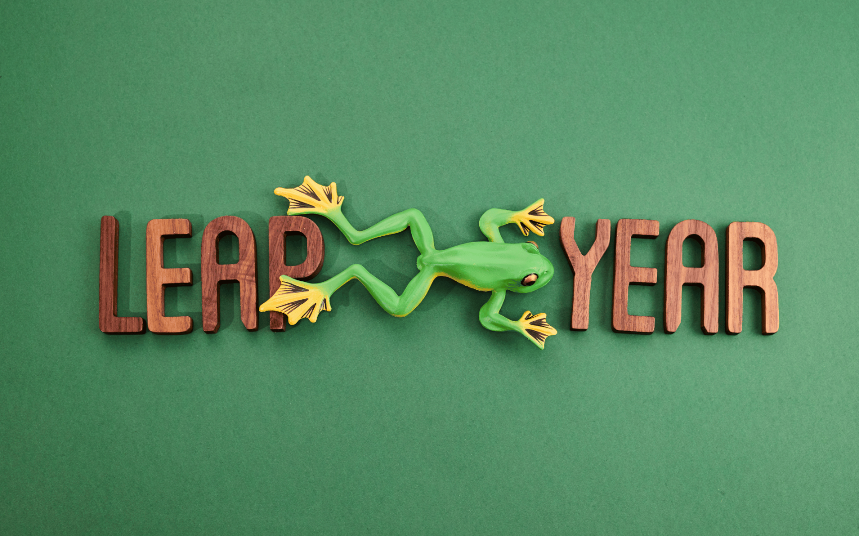The words leap year with frog on green background