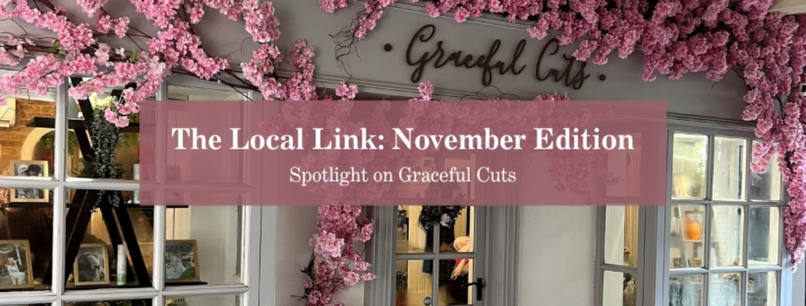 November Edition: Spotlight on Graceful Cuts