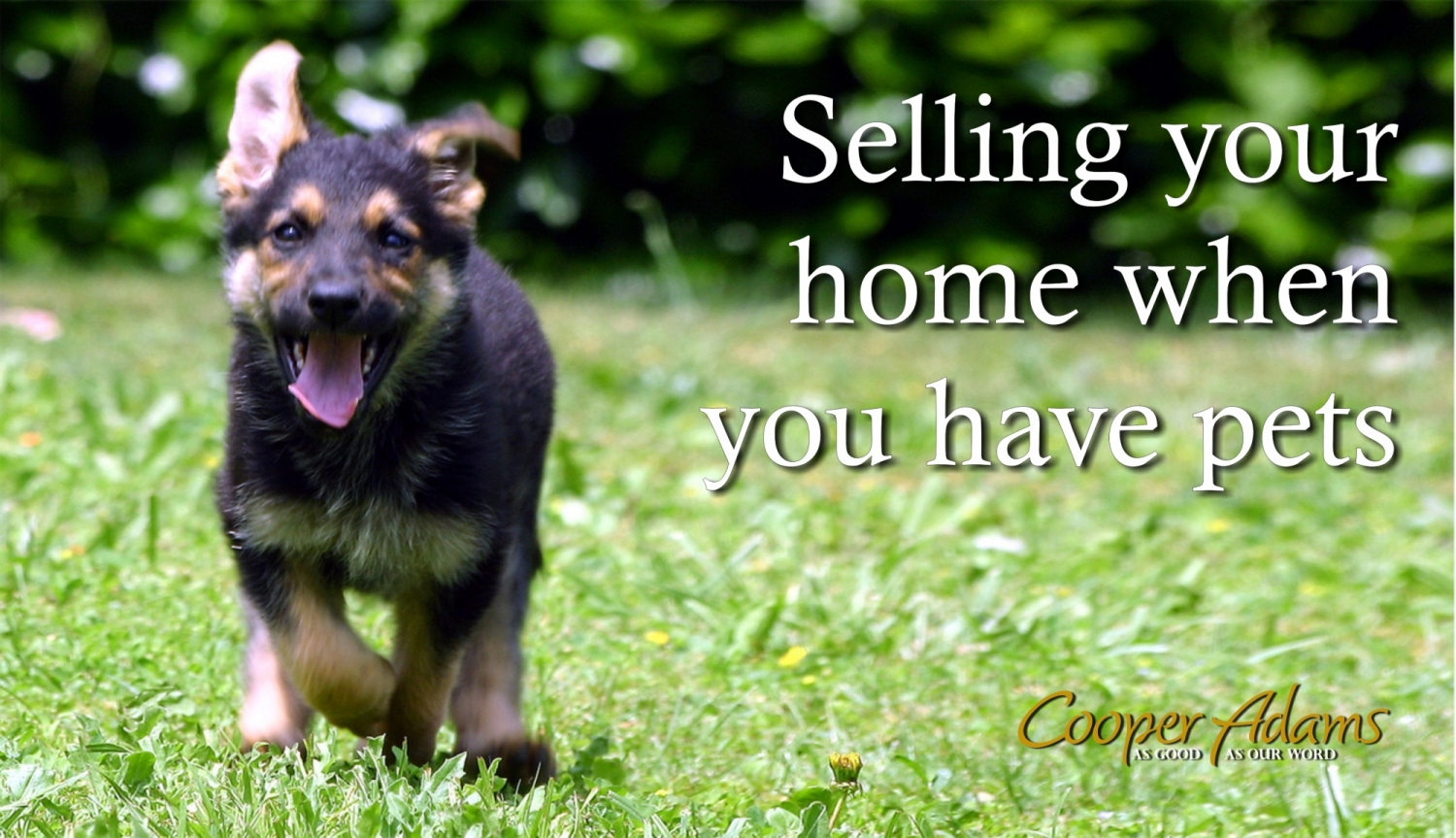 Selling your home when you...