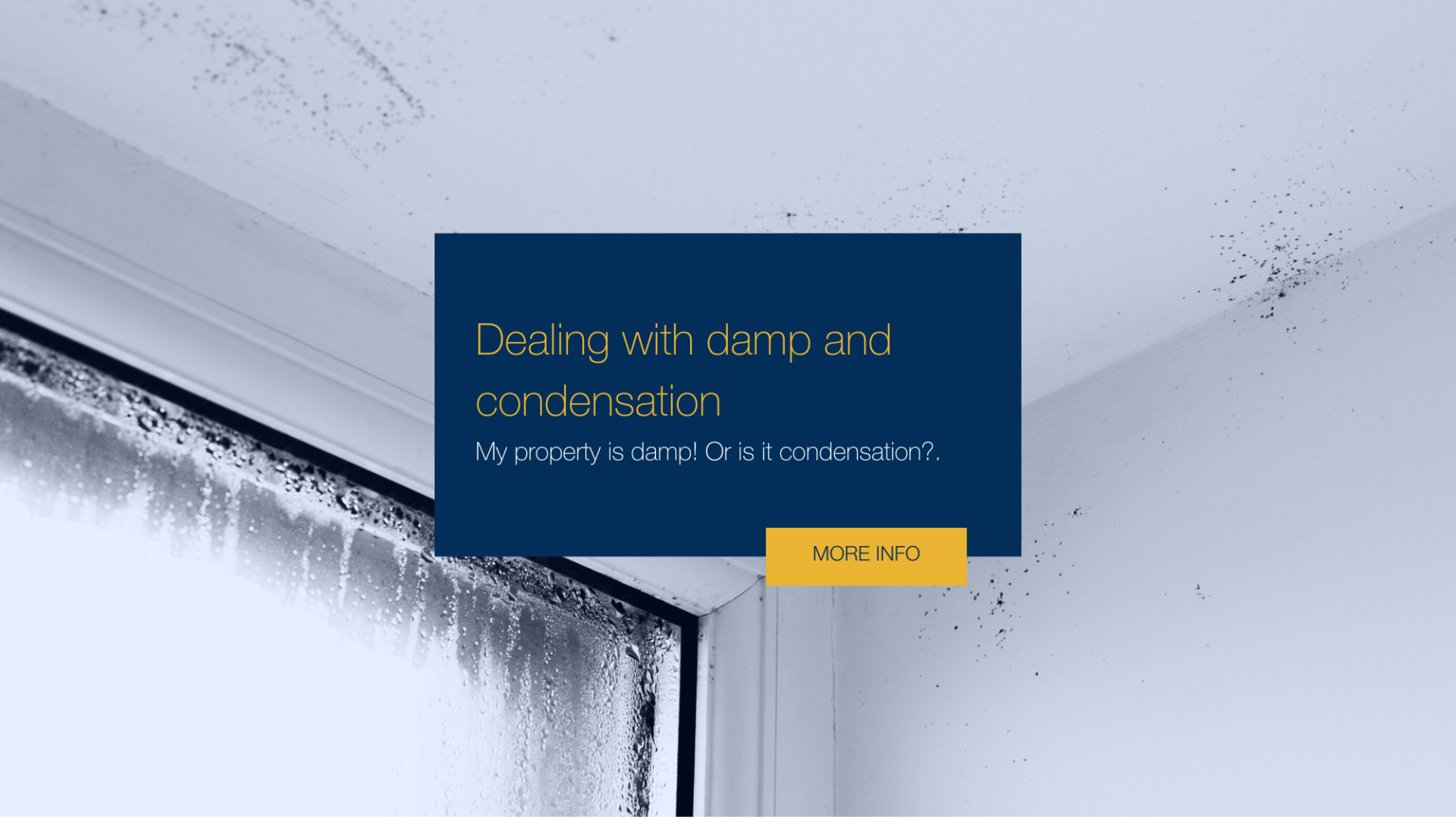 Dealing with damp and cond...