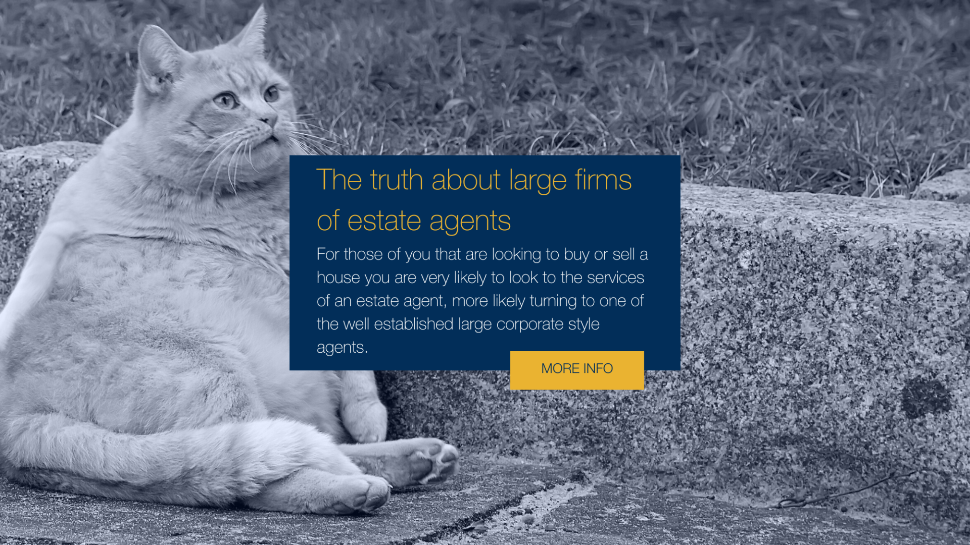 The truth about large firm...