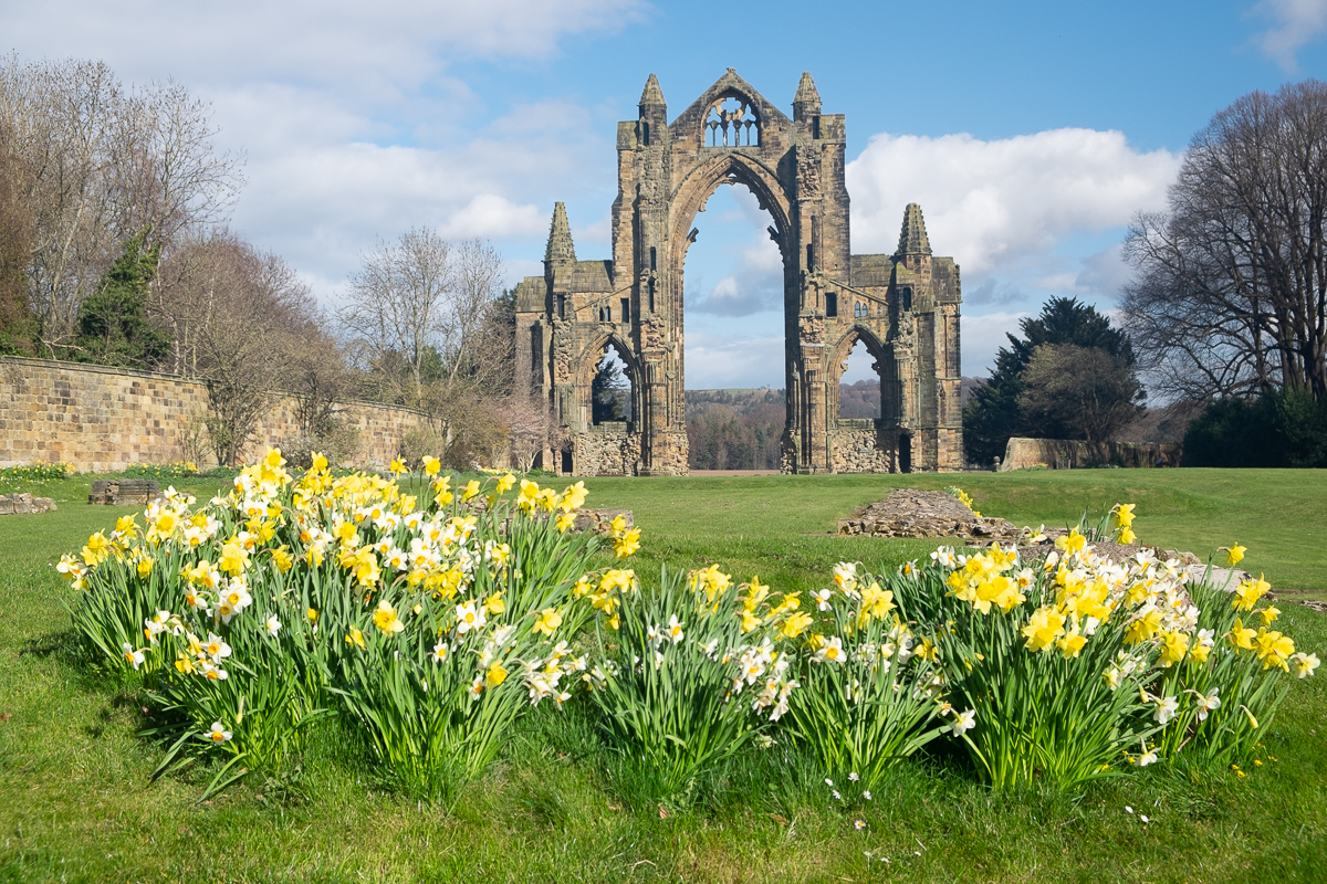 Guisborough Michael Poole