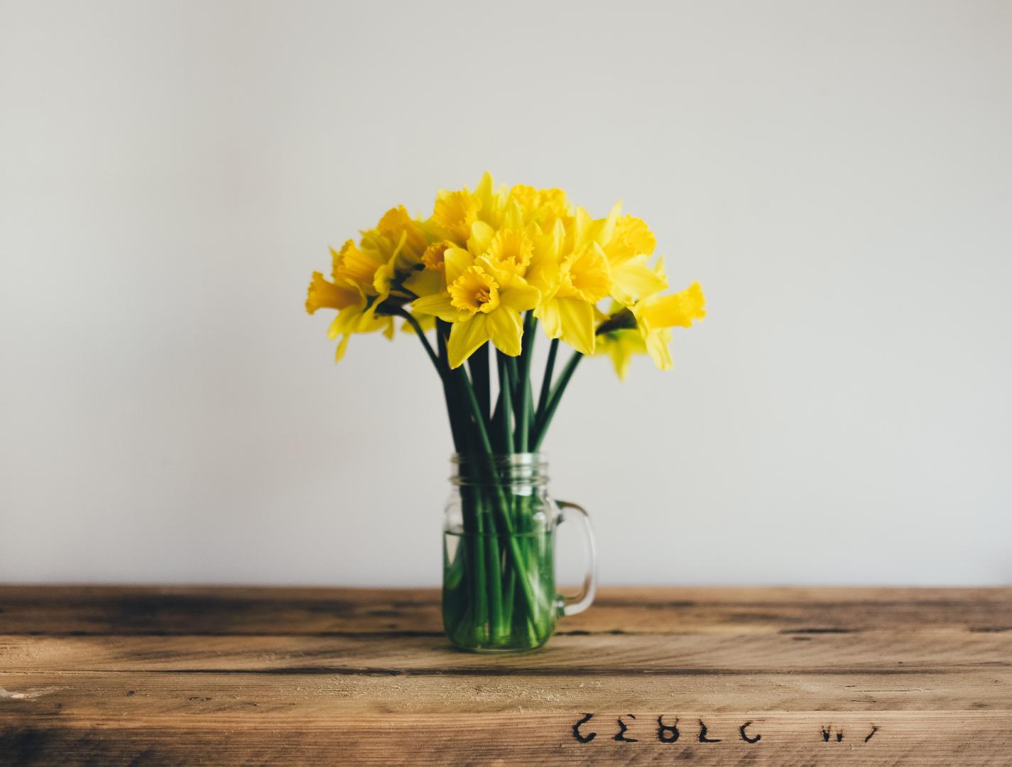 Spring Flowers