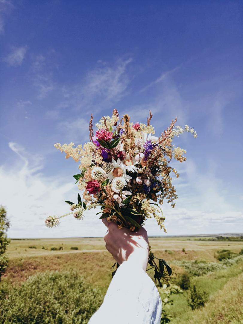 Photo of someone holding a bunch of flowers