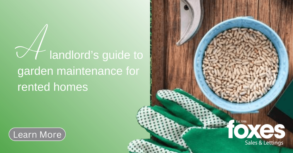 A landlord’s guide to garden maintenance for rente