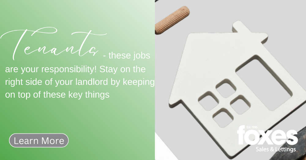 Tenants - these jobs are your responsibility! Stay