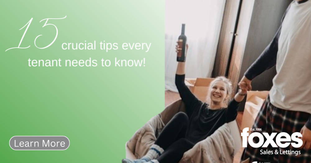15 crucial tips every tenant needs to know