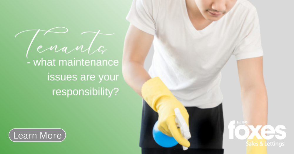 Tenants- what maintenance issues are your responsi
