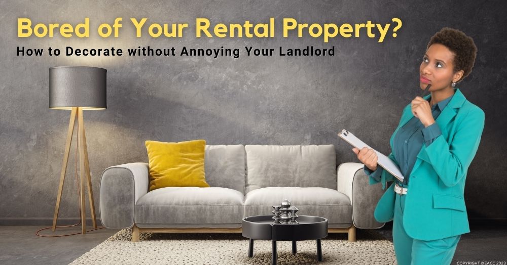Turn Your Rental Property into Somewhere You Love