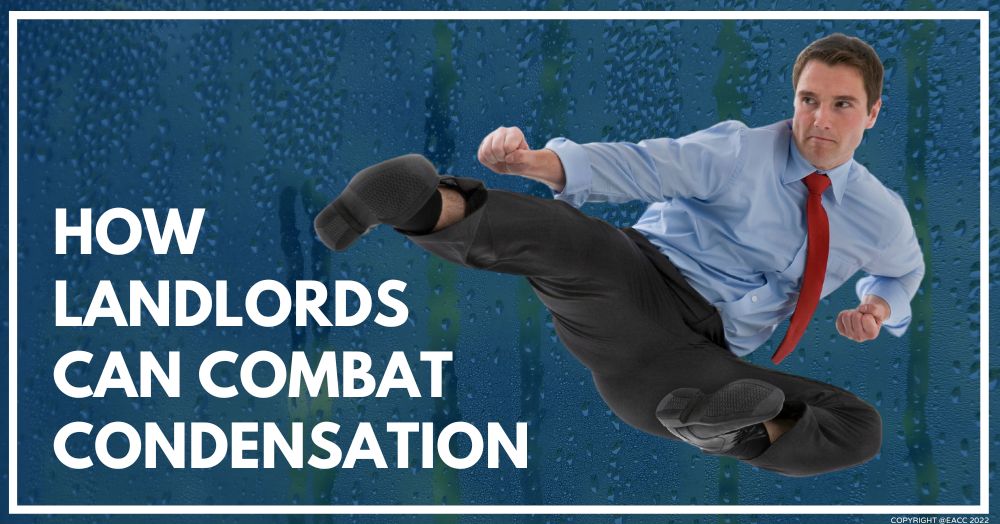 How to stop Condensation Becoming a BIG Problem