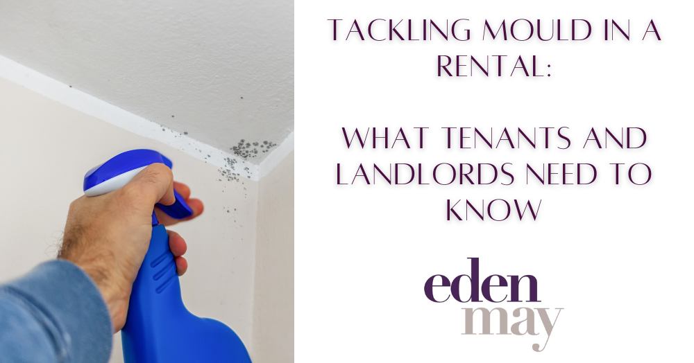 Tackling Mould in a Rental: What Taunton Tenants and Landlords Need to Know