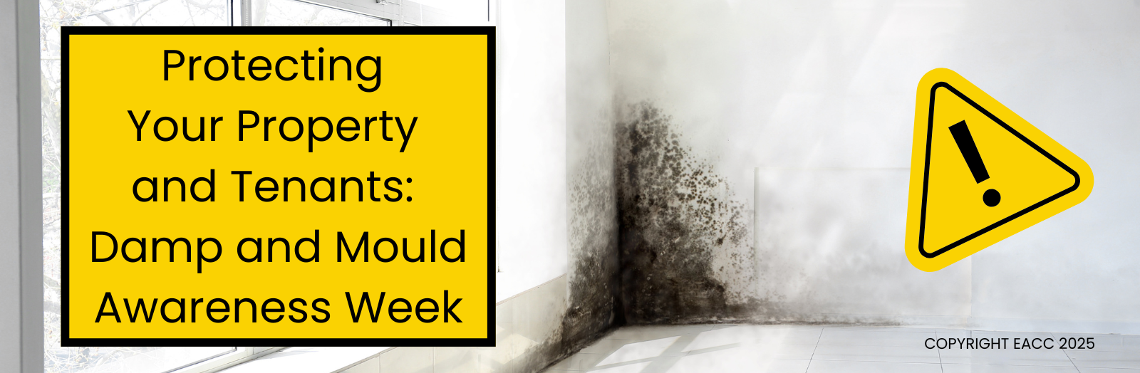 Protecting Your Property and Tenants: Damp and Mould Awareness Week